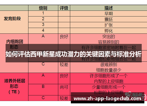 如何评估西甲新星成功潜力的关键因素与标准分析 如何评估西甲新星成功潜力的关键因素与标准分析