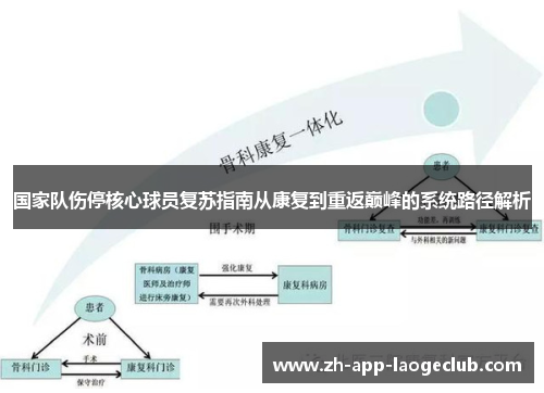 国家队伤停核心球员复苏指南从康复到重返巅峰的系统路径解析 国家队伤停核心球员复苏指南从康复到重返巅峰的系统路径解析