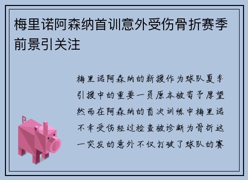 梅里诺阿森纳首训意外受伤骨折赛季前景引关注 梅里诺阿森纳首训意外受伤骨折赛季前景引关注